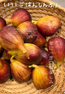 2025年10月　給食だより